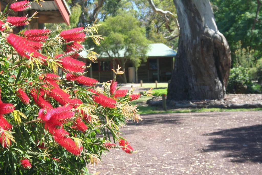 Southern Grampians Cottages Dunkeld Eksteriør billede