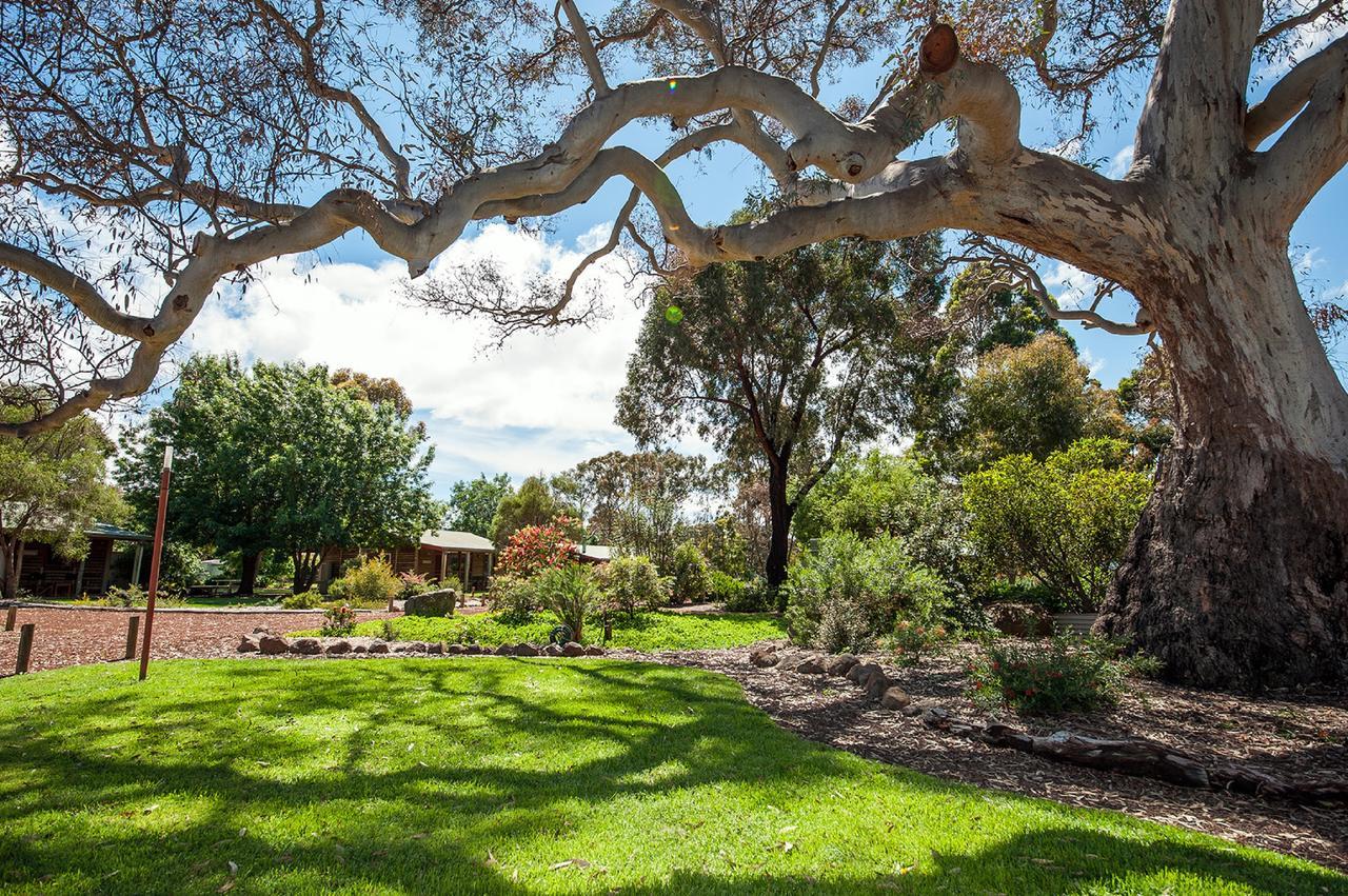 Southern Grampians Cottages Dunkeld Eksteriør billede